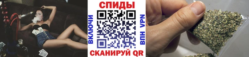 omg ссылка  Туран  Бутират буратино 