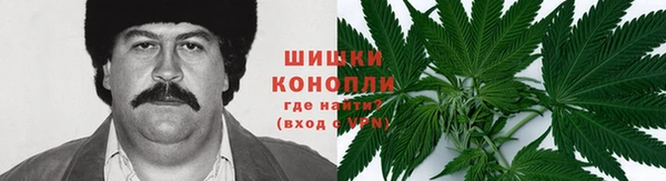 гидропоника Кодинск