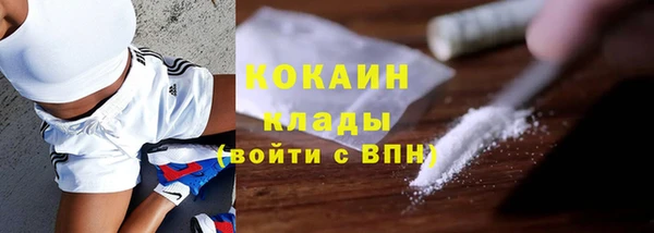 молекула духа Козловка