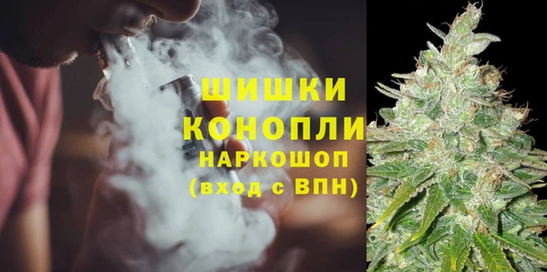 молекула духа Козловка