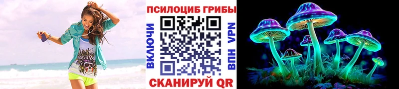 Галлюциногенные грибы Psilocybe  OMG зеркало  Туран 
